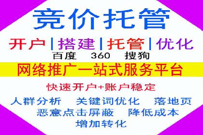 行业领先企业的SEM竞价代运营成功案例揭秘